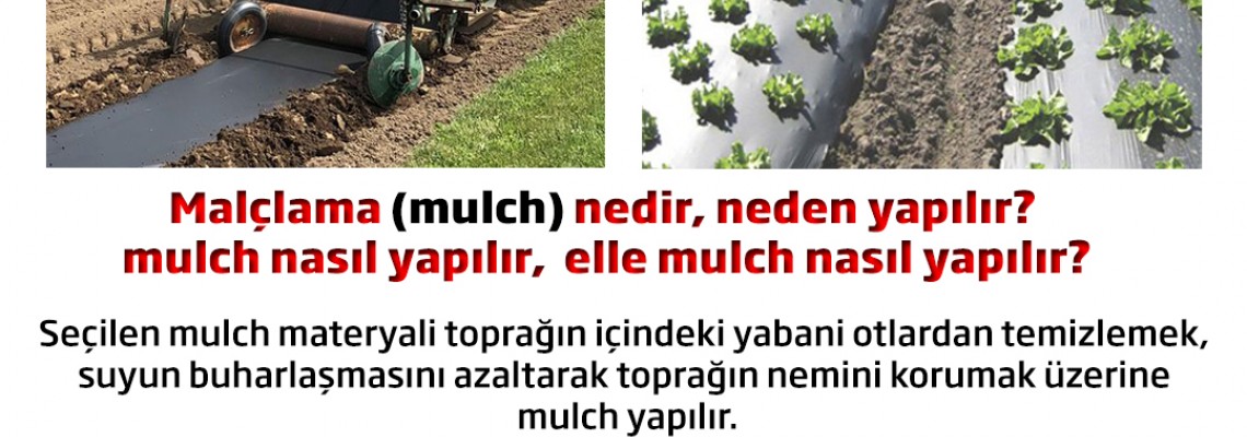 Malçlama (mulch) nedir, neden yapılır?  mulch nasıl yapılır, elle malçalama nasıl yapılır?