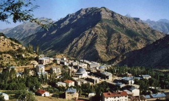 Hakkari Zeytin Filesi, Agril (Don kırağı örtüsü), Sera Örtüsü, Ebatlı Branda, Gölgelik File, ABK Siyah Taban Zirai Örtüsü, Siyah Mulch, Çilek Naylon, Mısır Silaj Örtüsü, Silaj File, Silaj Strech, Silaj Balya Ambalaj ve Baskılı - Baskısız Çuval, Bigbag