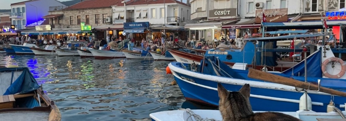 İzmir Foça İlçesi - ABK Plastik Ambalaj